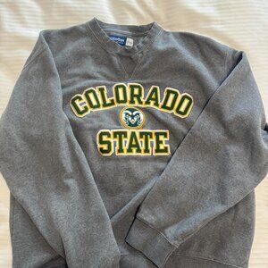 Women's Grey Sweatshirt